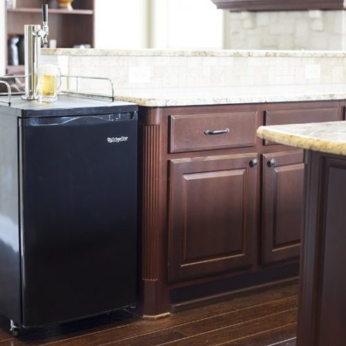 Best Beer Keg Refrigerators e1464696693177 Best Beer Keg Refrigerators