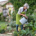 Eco Friendly Garden Tips