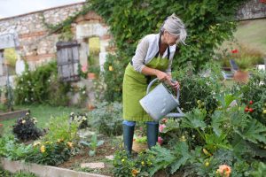 Eco Friendly Garden Tips