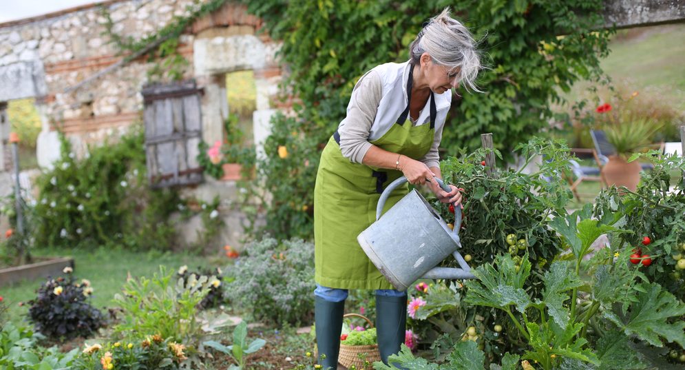 10 Ways to Make Your Garden More Sustainable and Eco Friendly