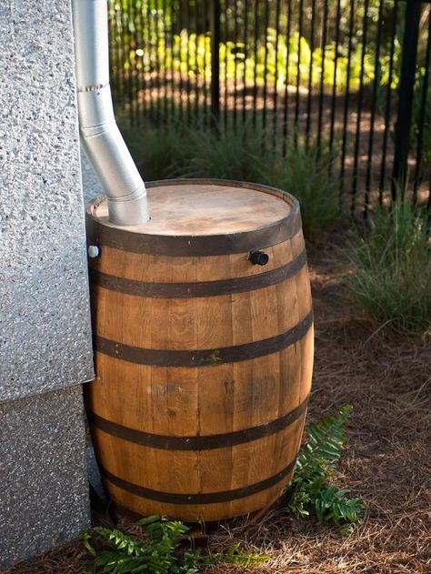 Rainwater wine barrel harvesting