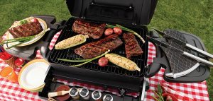 Best Small Grills