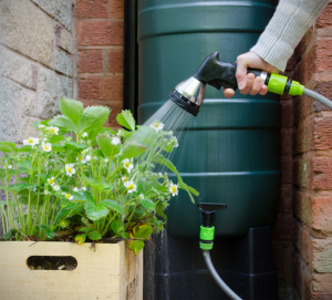 Rainwater Barrel