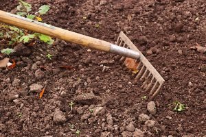 Improve Garden Soil