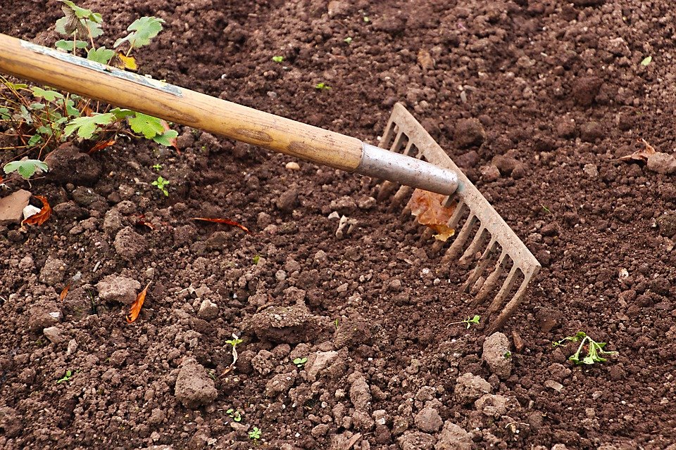 Practical Ways to Improve Your Garden Soil