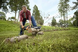 Best Electric Chainsaw