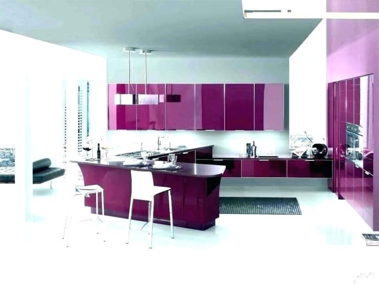 purple kitchen style purple kitchen appliances