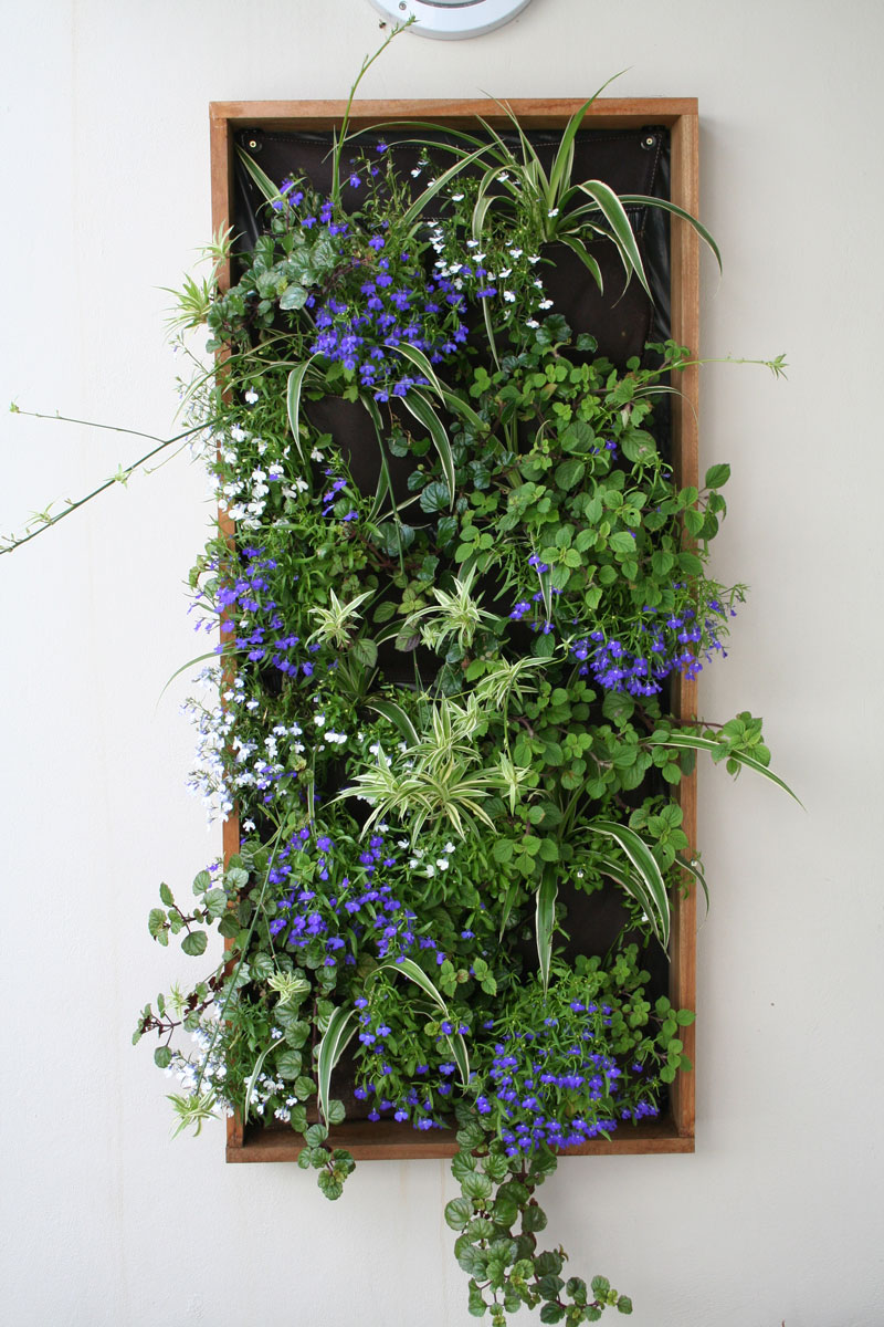 Kitchen Wall Decor Ideas Kitchen Wall Decor Ideas
