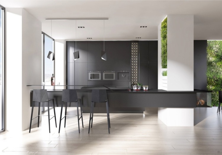 Black Kitchen Design Ideas Black Kitchen