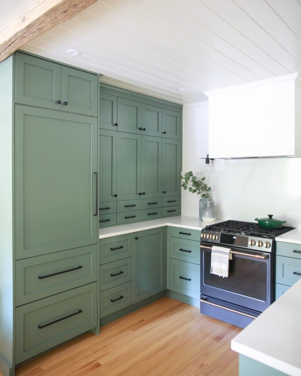 Green Kitchen Green Kitchen Ideas