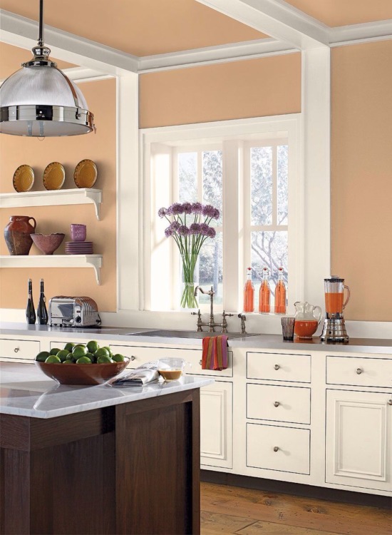 Orange Kitchen Design Orange Kitchen Ideas