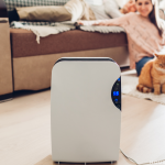 The Best Portable Air Purifiers