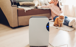 The Best Portable Air Purifiers