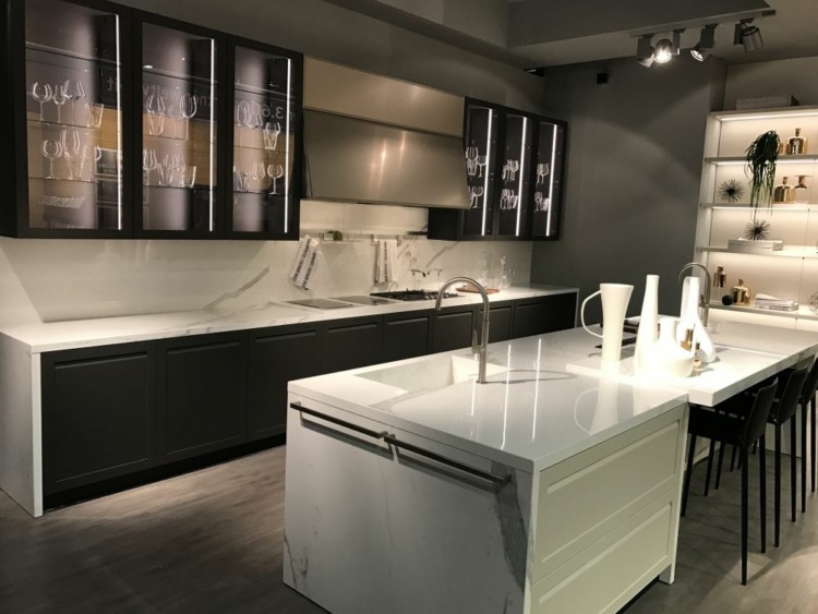 Monochrome Kitchen Design with Glass Panels