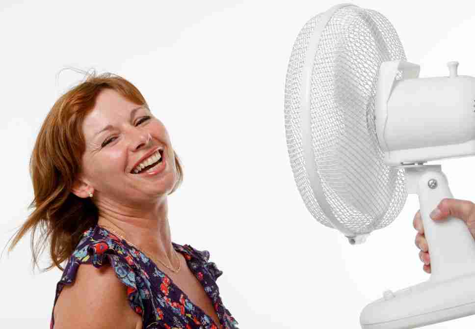 fan