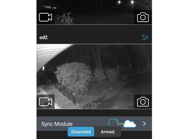 disarmed blink camera