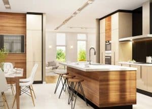 semi open kitchen living room