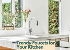trendy kitchen faucet